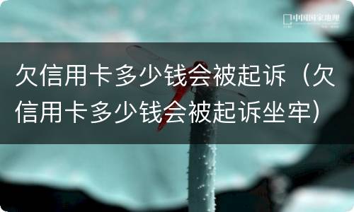 欠信用卡多少钱会被起诉（欠信用卡多少钱会被起诉坐牢）