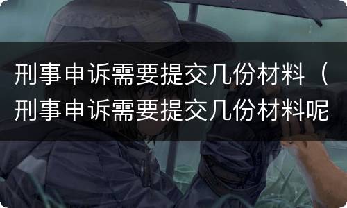 刑事申诉需要提交几份材料（刑事申诉需要提交几份材料呢）