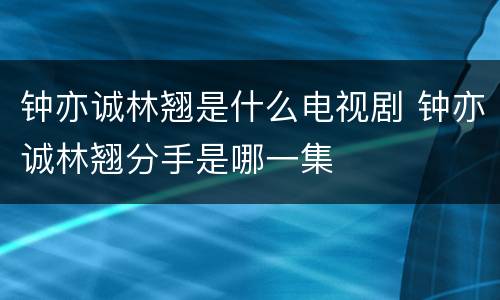 钟亦诚林翘是什么电视剧 钟亦诚林翘分手是哪一集