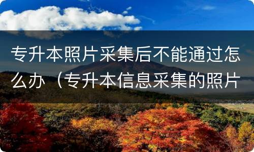 专升本照片采集后不能通过怎么办（专升本信息采集的照片用在哪些地方）