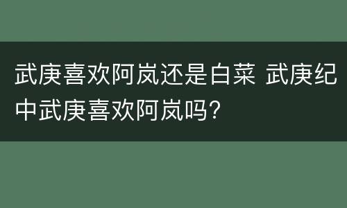 武庚喜欢阿岚还是白菜 武庚纪中武庚喜欢阿岚吗?