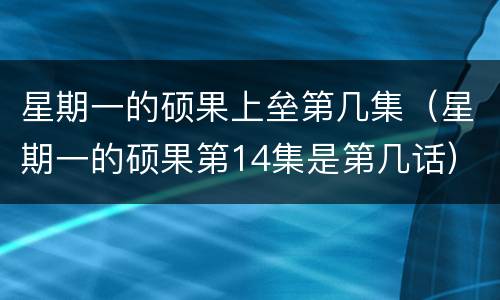 星期一的硕果上垒第几集（星期一的硕果第14集是第几话）