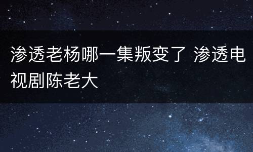 渗透老杨哪一集叛变了 渗透电视剧陈老大