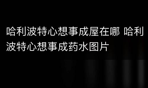 哈利波特心想事成屋在哪 哈利波特心想事成药水图片