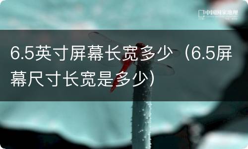 6.5英寸屏幕长宽多少（6.5屏幕尺寸长宽是多少）