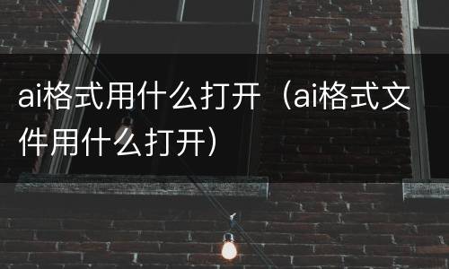 ai格式用什么打开（ai格式文件用什么打开）