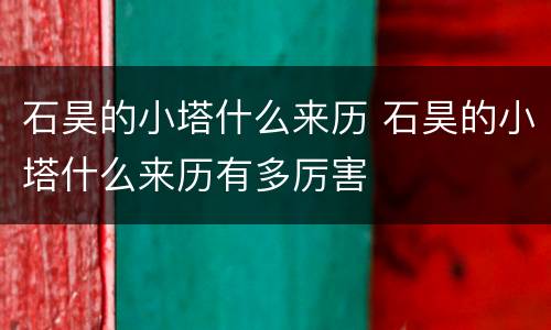 石昊的小塔什么来历 石昊的小塔什么来历有多厉害