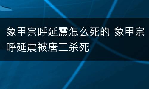 象甲宗呼延震怎么死的 象甲宗呼延震被唐三杀死