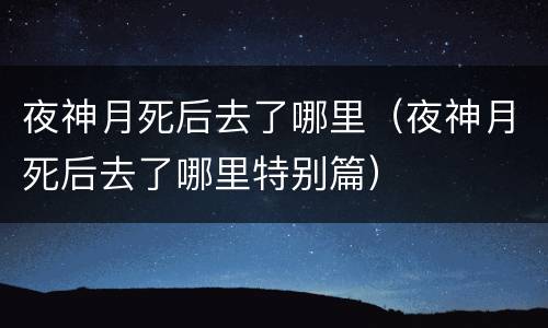 夜神月死后去了哪里（夜神月死后去了哪里特别篇）