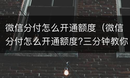 微信分付怎么开通额度（微信分付怎么开通额度?三分钟教你开通分付借钱!）