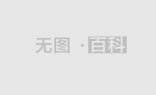 有关放行偷越国 放行偷越国边境人员罪判决书