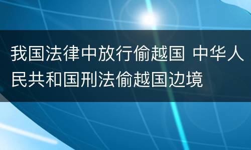 我国法律中放行偷越国 中华人民共和国刑法偷越国边境