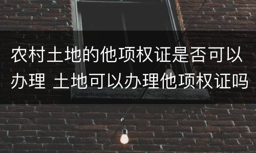 农村土地的他项权证是否可以办理 土地可以办理他项权证吗