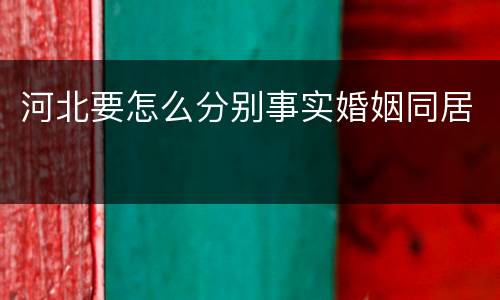 河北要怎么分别事实婚姻同居