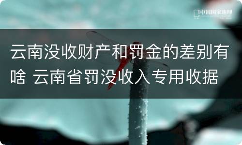 云南没收财产和罚金的差别有啥 云南省罚没收入专用收据