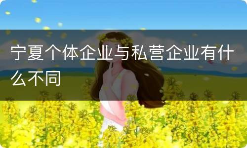 宁夏个体企业与私营企业有什么不同