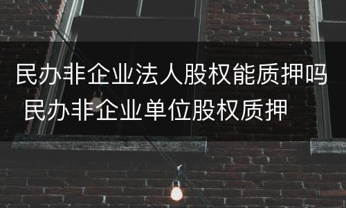 民办非企业法人股权能质押吗 民办非企业单位股权质押