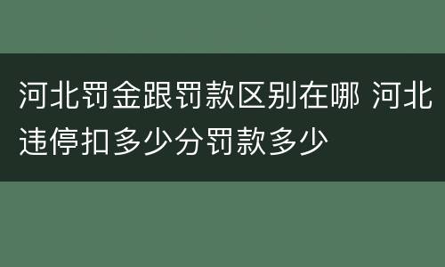 河北罚金跟罚款区别在哪 河北违停扣多少分罚款多少