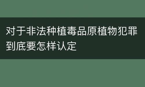 对于非法种植毒品原植物犯罪到底要怎样认定