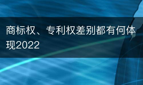 商标权、专利权差别都有何体现2022