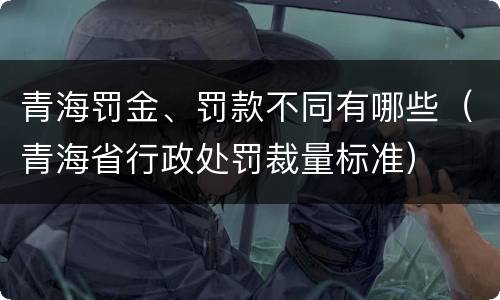 青海罚金、罚款不同有哪些（青海省行政处罚裁量标准）