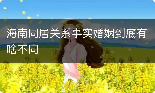 海南同居关系事实婚姻到底有啥不同