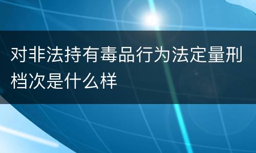 对非法持有毒品行为法定量刑档次是什么样