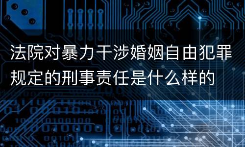 法院对暴力干涉婚姻自由犯罪规定的刑事责任是什么样的