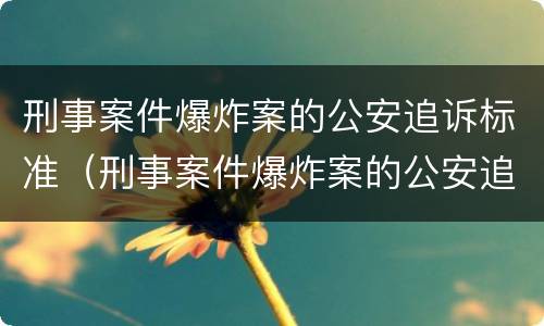 刑事案件爆炸案的公安追诉标准（刑事案件爆炸案的公安追诉标准是多少）