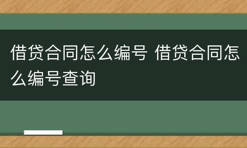 借贷合同怎么编号 借贷合同怎么编号查询