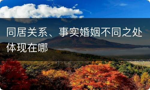 同居关系、事实婚姻不同之处体现在哪