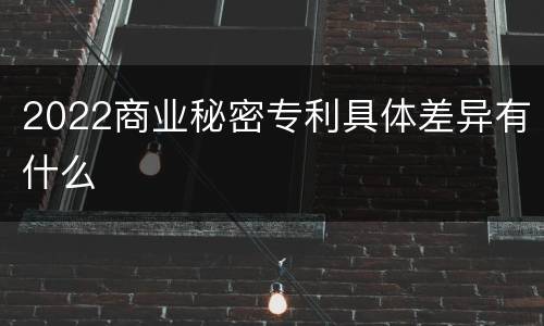 2022商业秘密专利具体差异有什么