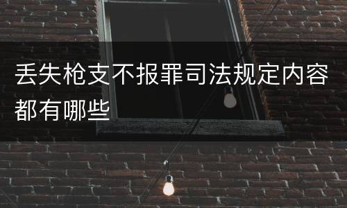 丢失枪支不报罪司法规定内容都有哪些