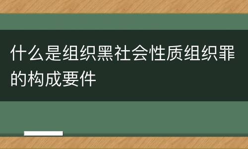 什么是组织黑社会性质组织罪的构成要件