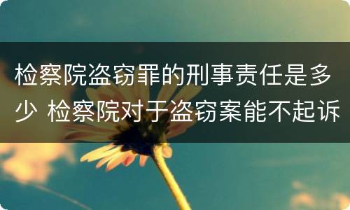 检察院盗窃罪的刑事责任是多少 检察院对于盗窃案能不起诉吗